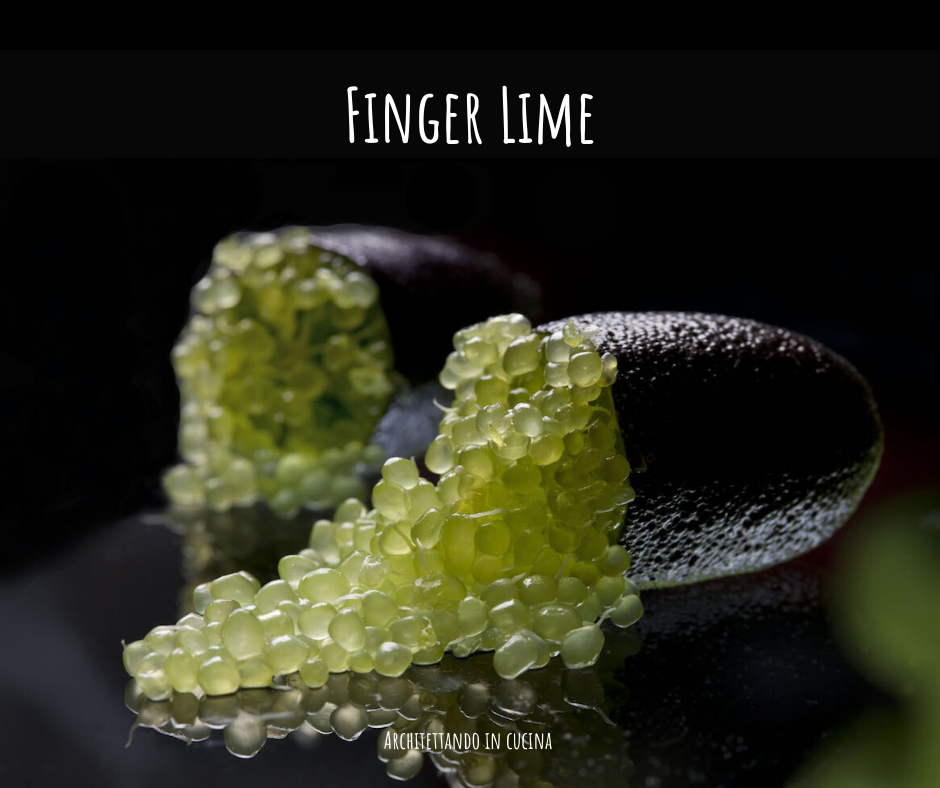 Finger Lime