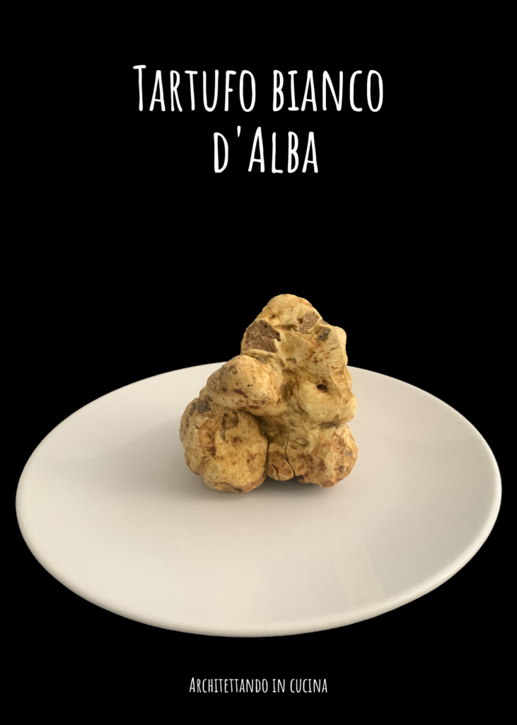 Tartufo bianco di Alba