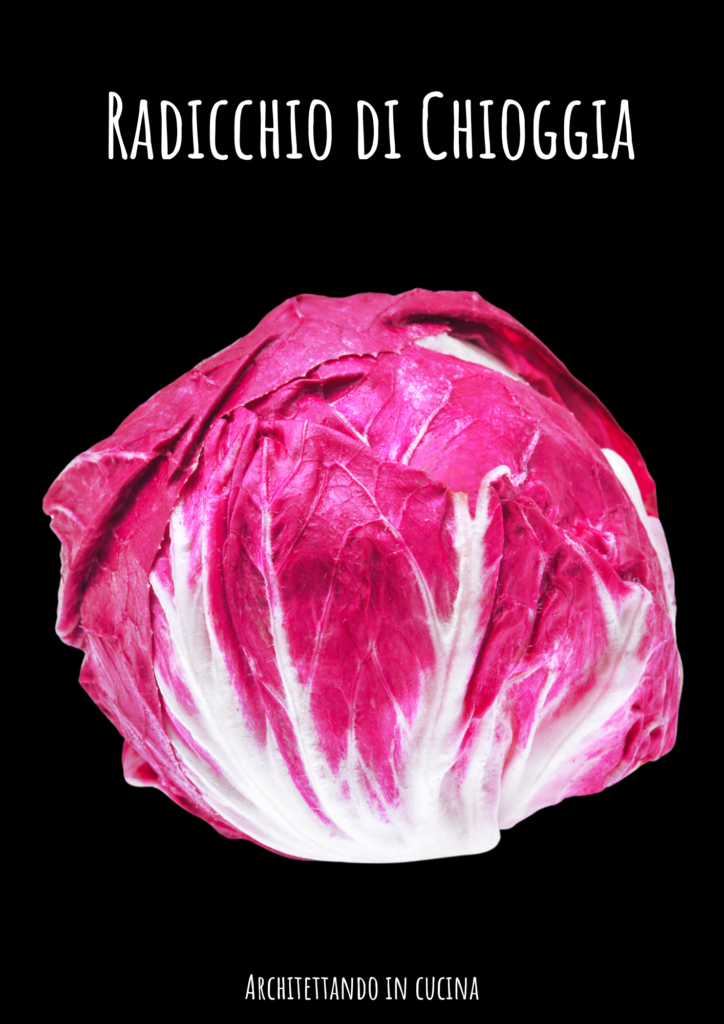 Radicchio di Chioggia 