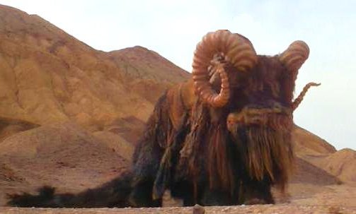 Bantha