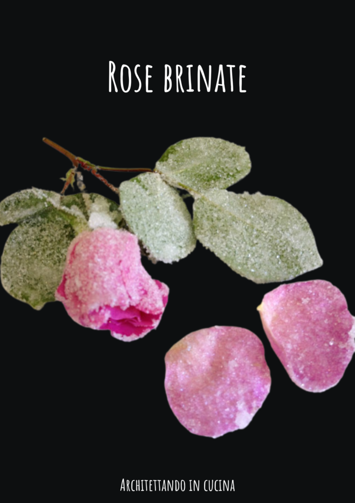 Rose brinate